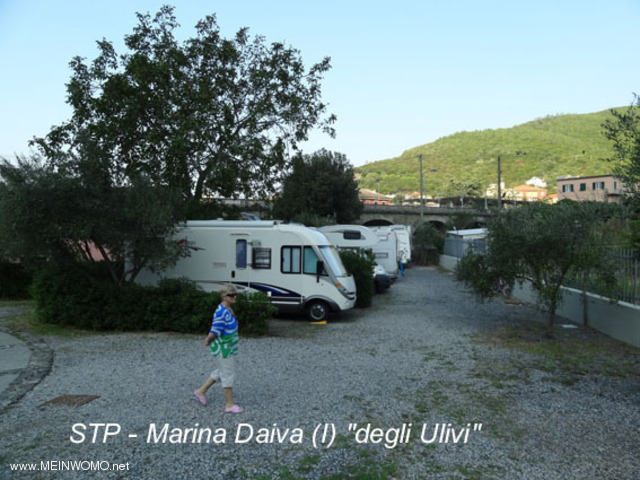 Deiva Marina (Italien/ Prov. La Spezia): Camping degli Ulivi
