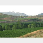 Weinfelder und Berge