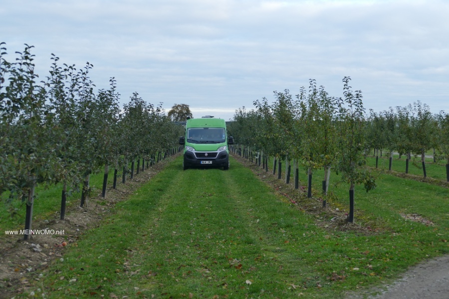 Parkeerplaats in de appelboomgaard 