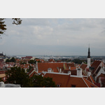 Blick ber die Altstadt Tallinn