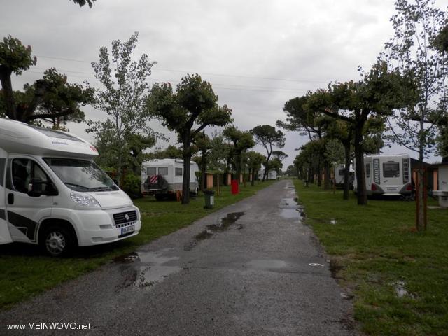  parceled areas in the campsite Abano Therme