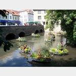 Blumenschmuck im Fluss, Erfurt@aufgenommen 2009