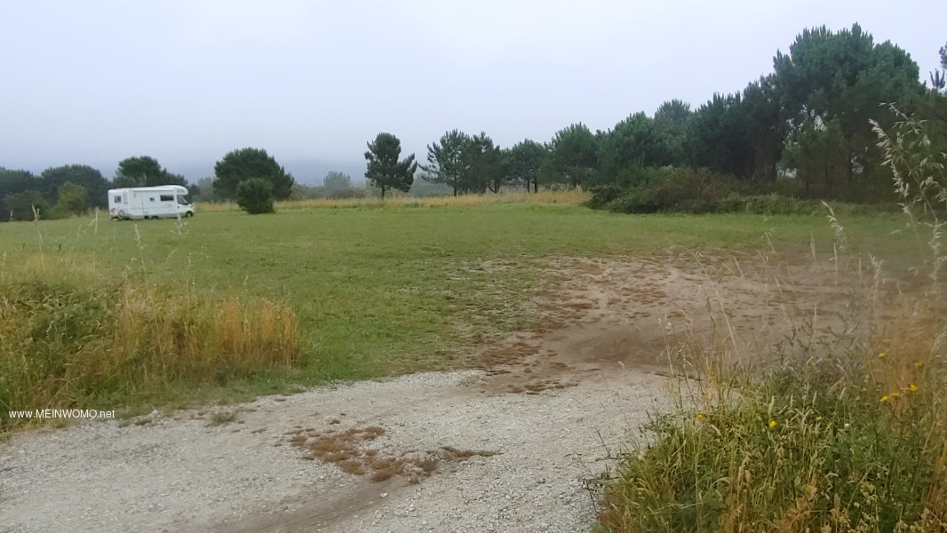 Parking space in front of the forest