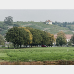 Niederlommatsch: Blick auf die Weinberge oberhalb Seulitz