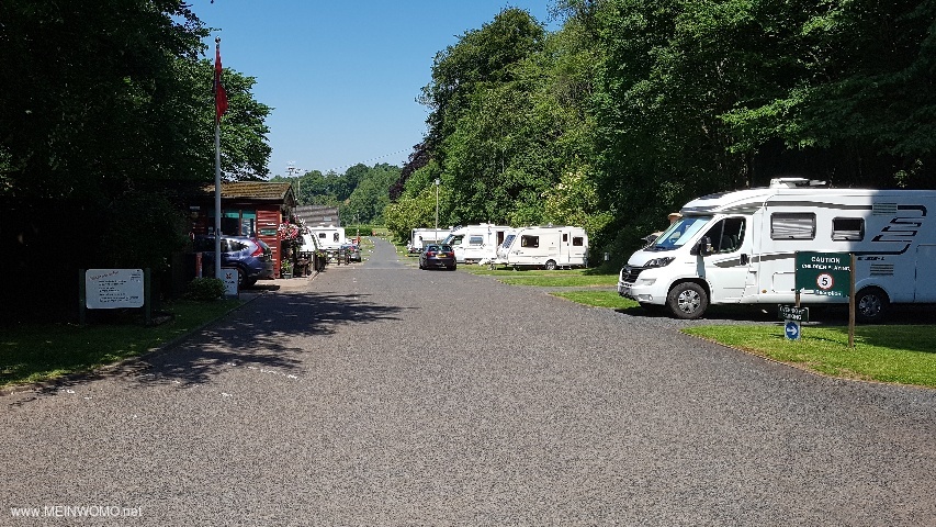  Jedburgh Camping och Caravanning Club Site