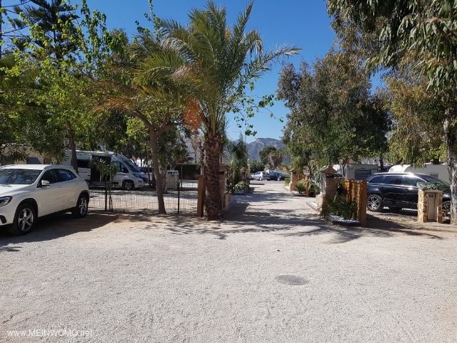  Xeraco / Camping San Vicente in March 2019