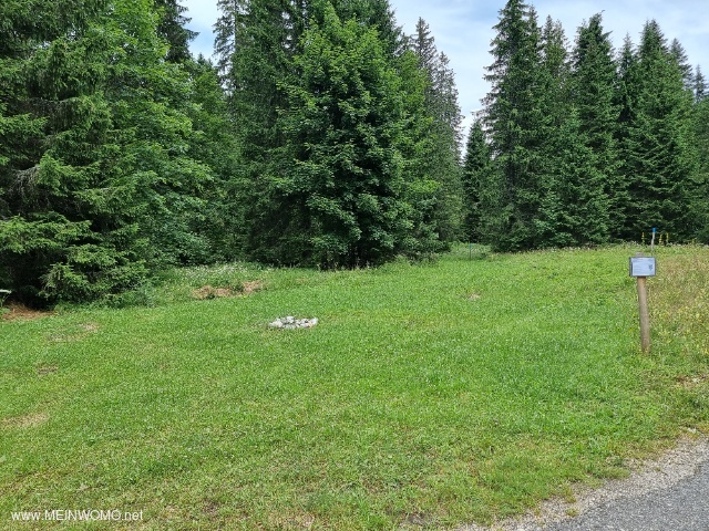 Waldwiese als Van-/Zeltstellplatz ausgewiesen