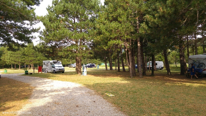  View of campsite, there are shade and sun places