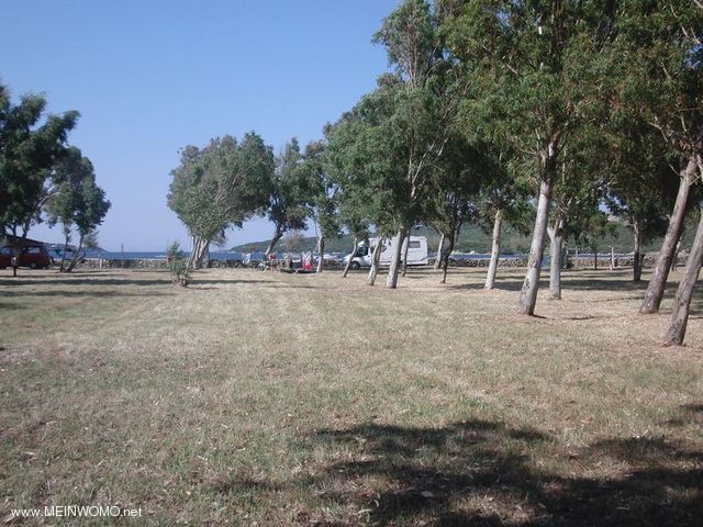  Image shows eionen view over part of the campsite in directional sea.