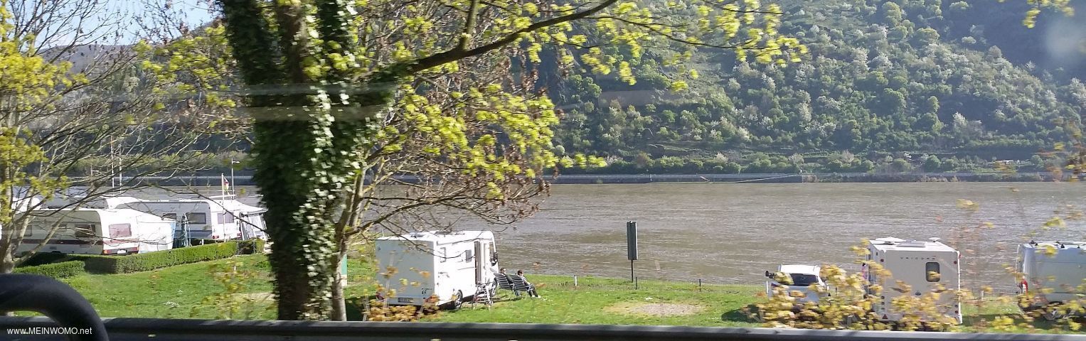  Standplaatsen direct aan de Rijn