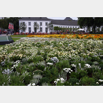 und wo man hier noch bei Google eine riesige Baustelle sieht,ist jetzt ein Blumenmeer zu sehen. Angepflanzt, angeordnet wurden die Blumen als Krone, aber "Das" kann man leider nur von oben sehen, Neustadt 24, 56068 Koblenz, Deutschland