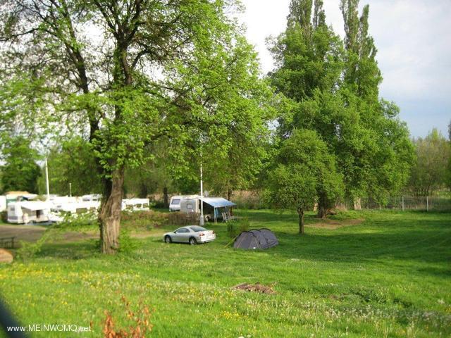 Camping/Stellplatz Sokol von der Strae